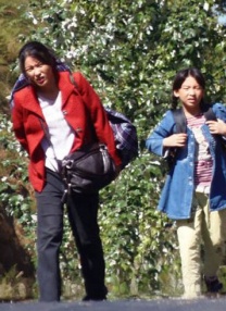 手机在线观看