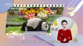 全集已更新粤语版